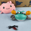 Caranguejo Fujão - Sr Crawb