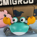 Caranguejo Fujão - Sr Crawb