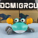 Caranguejo Fujão - Sr Crawb